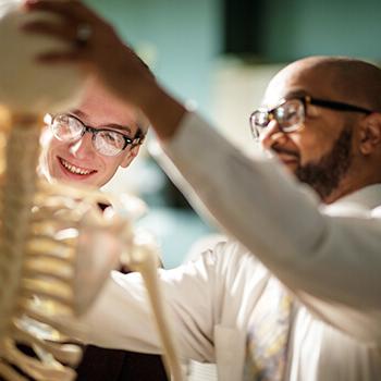 A professor teaches a male student about basic osteology using a classroom skeleton.